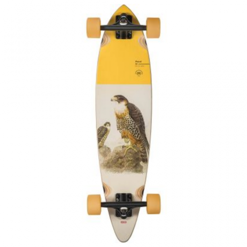 GLOBE Longboard 34″ Pintail Falcon