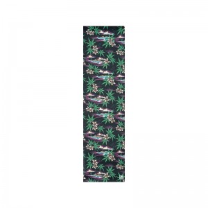 GLOBE Pacalolo/Rad Cat Griptape