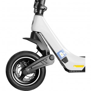 Zhweel patinete eléctrico ZLion Pro White Satin