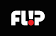 Flip Skateboards